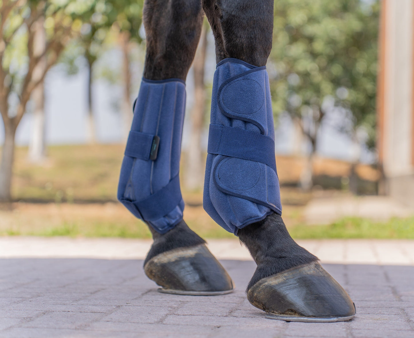 HorseLink Therapy Boots: compressie, ijs/warmte, vibratie en magnetische verzorging voor paardenbenen 