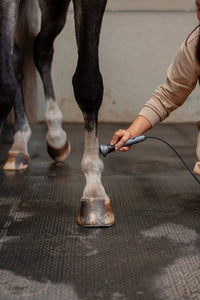 Equine & Battery edition - VetMedix High Power Laser Therapy System