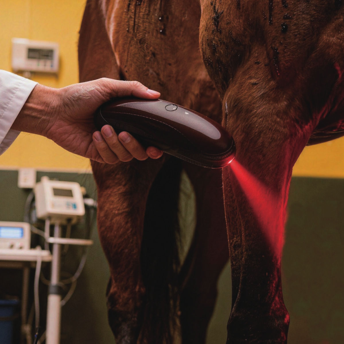 JoyCura handheld veterinary therapy laser